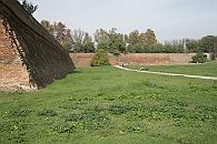Img 091